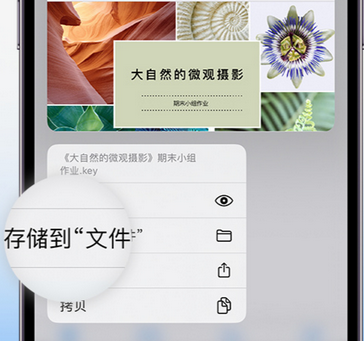 沧源apple维修中心分享iPhone文件应用中存储和找到下载文件