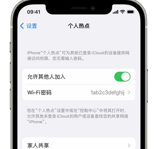 沧源apple服务站点分享iPhone上个人热点丢失了怎么办