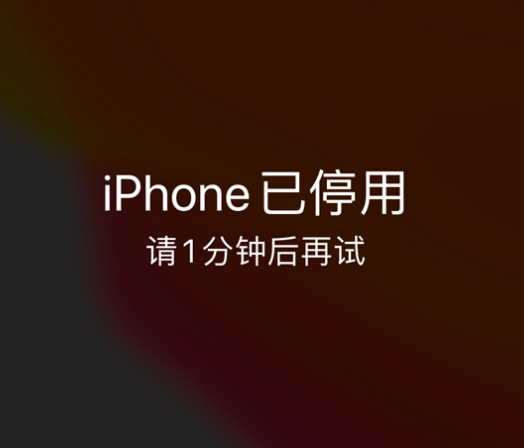 沧源苹果手机维修分享:iPhone 显示“不可用”或“已停用”怎么办？还能保留数据吗？ 