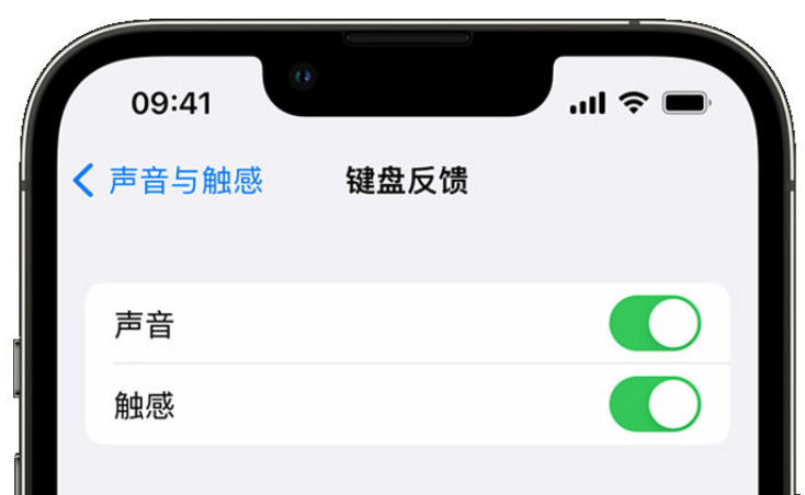 沧源苹果手机维修分享iPhone 14触感键盘使用方法 