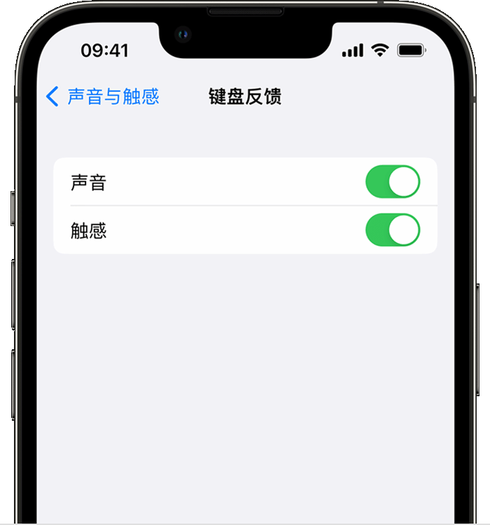 沧源苹果14维修店分享如何在 iPhone 14 机型中使用触感键盘 