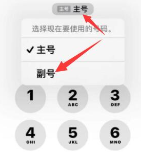 沧源苹果14维修店分享iPhone 14 Pro Max使用副卡打电话的方法 