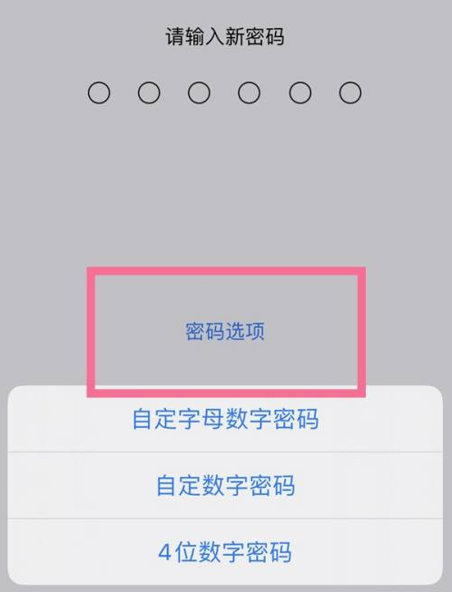 沧源苹果14维修分享iPhone 14plus设置密码的方法 