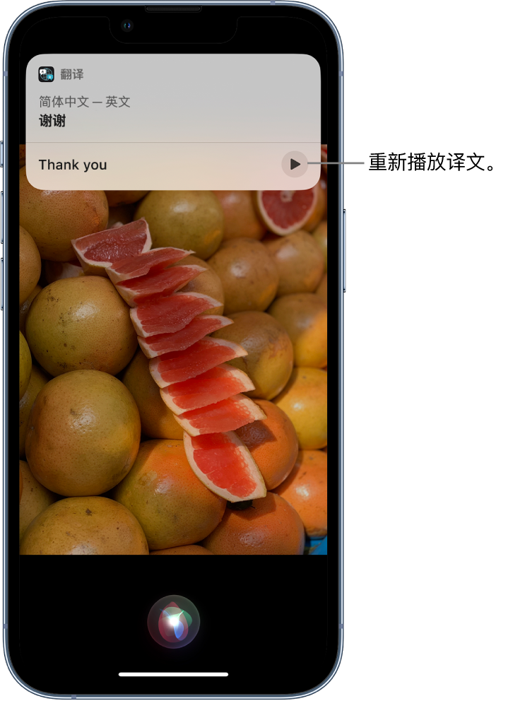 沧源苹果14维修分享 iPhone 14 机型中使用 Siri：了解 Siri 能帮你做什么 