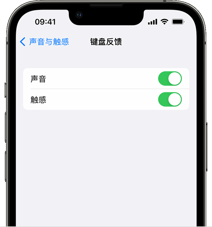 沧源苹果14维修分享iPhone 14 系列机型如何开启键盘声音或触感反馈 