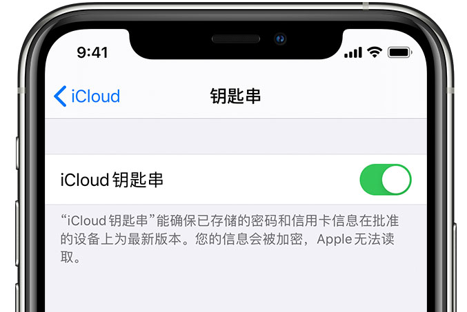 沧源苹果手机维修分享在 iPhone 上开启 iCloud 钥匙串之后会储存哪些信息 