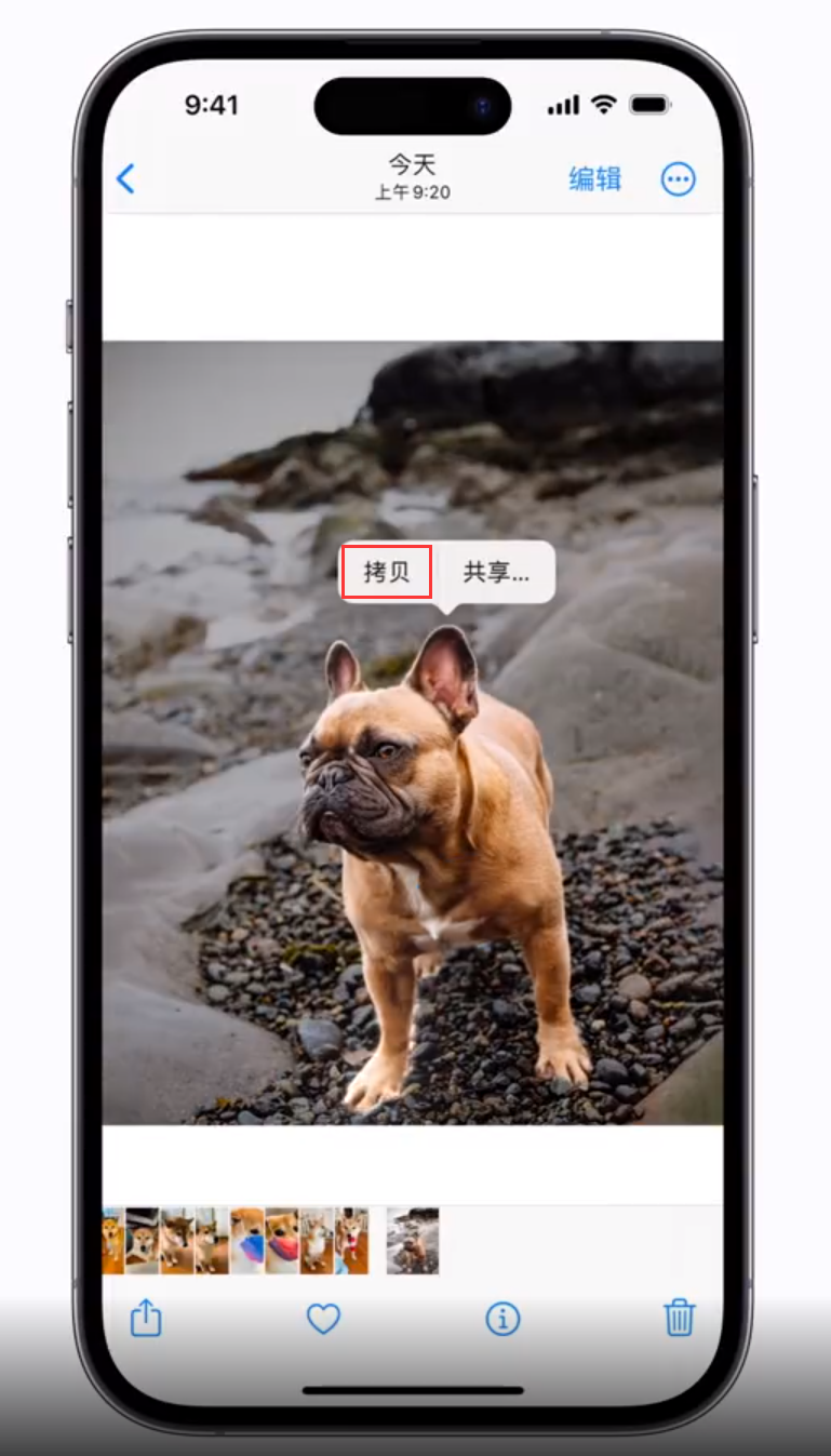 沧源苹果手机维修分享 iOS 16 自带一键抠图功能 