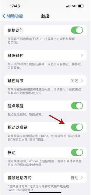 沧源苹果手机维修分享iPhone手机如何设置摇一摇删除文字 