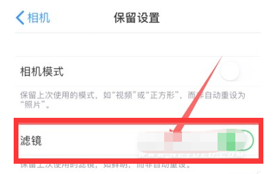 沧源苹果13维修分享iPhone13拍照有绿点是怎么回事 