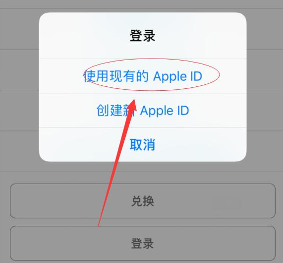 沧源苹果手机维修分享两台iPhone设备可以同时登录一个Apple ID吗 
