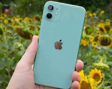 沧源苹果维修点分享iPhone 11锁屏密码认知与使用科普 